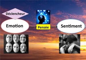 de l'émotion au sentiment