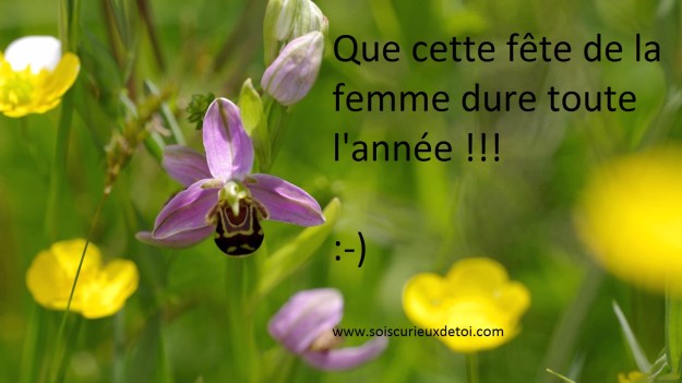fête de la femme