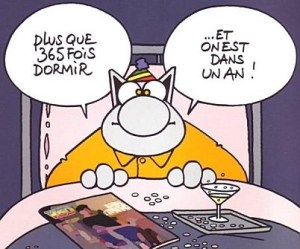 le-chat-365-jours