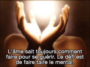 1966942_720579684628985_1876655737_n