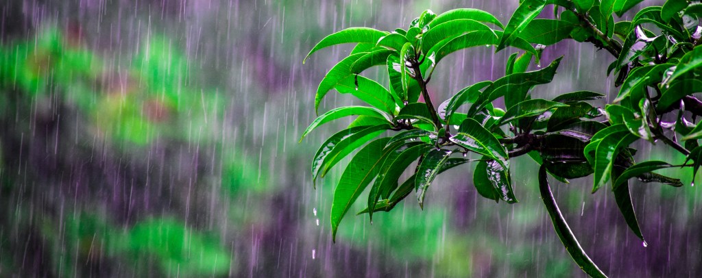 Une texte philosophicomique sur le respect de nous-mêmes, de ,notre Terre...